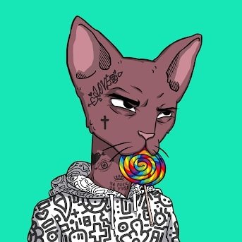 i follow & retweet everything! Blockchain Defender & NFT's😎Og Gamer💖Zelda, COD & DESTINY. Cats and Dogs lover. Also dragons n dinos✌