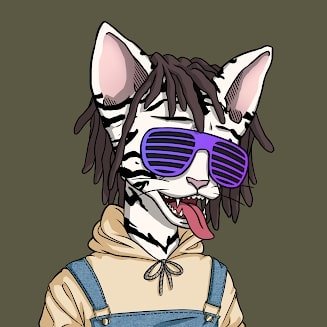 i do visual design and nfts. i don't do paid promotion. dm me if u need some merch design for ur nft project!