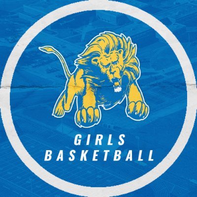 🏀 The Official Twitter page of the NDCL Girls Basketball program! #WeAreNDCL 🦁
