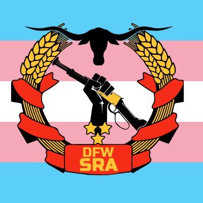 Dallas/Fort Worth SRA Profile