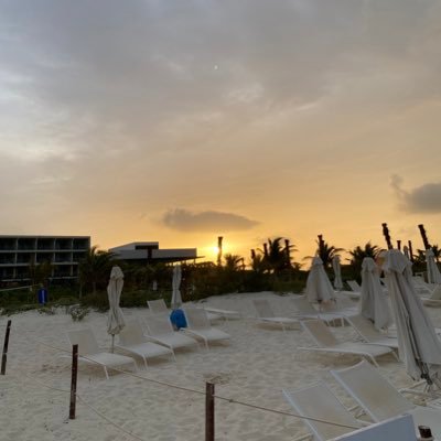 LemusUrbina's profile picture. 