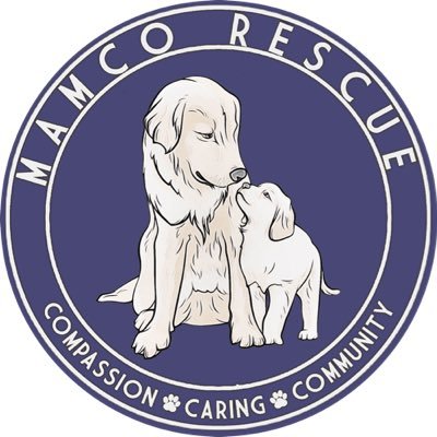 Our mission at MAMCO is to provide safe haven for pregnant and nursing dogs who have been abandoned.We are a foster based, 501c3 non-profit rescue