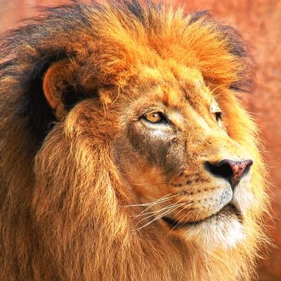 George48760131's profile picture. Happy Man