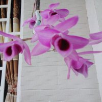 Awake (@awake0211) 's Twitter Profile