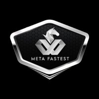 MetaFastest(@meta_fastest) 's Twitter Profile Photo