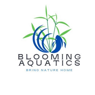 Planted Tanks | Aquascape Products & Service Provider | SHOP: 721 Camino Plaza, San Bruno CA 94066 | Open: Tue-Sun | New Vidz & More: https://t.co/cGz6TYlQL7