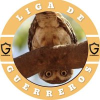 búho castaño 🦉🌰 (@shottb_5) 's Twitter Profile