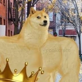 💪Kally Boi🐶さんのプロフィール画像