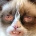 Slumpytoast69 (@slumpytoast420) Twitter profile photo Slumpytoast69 (@slumpytoast420) Twitter profile photo