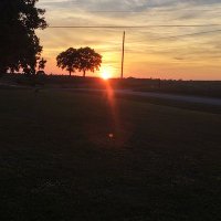 Shannon J. Allen (@shannonjallen1) 's Twitter Profile