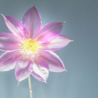 zehra can (@h12468647) Twitter profile photo