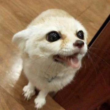 EllislIlIl's profile picture. 