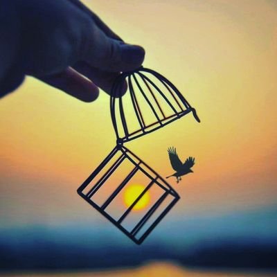 Tjaz75's profile picture. 