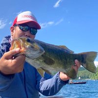 K.FUJII (@fardzi636) 's Twitter Profile