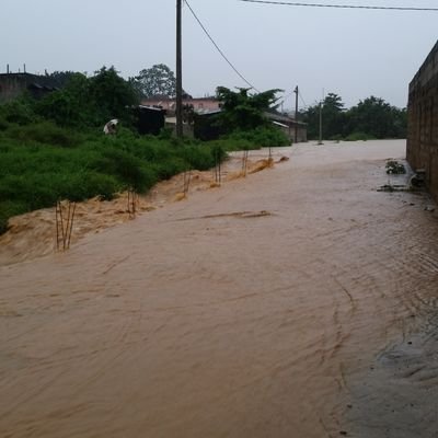 Stephadouk's profile picture. 