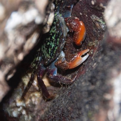 ma17815837's profile picture. 