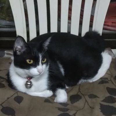 MEW 🐾さんのプロフィール画像