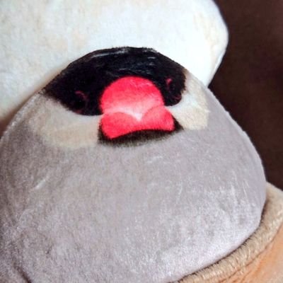 さ　くみちさんのプロフィール画像