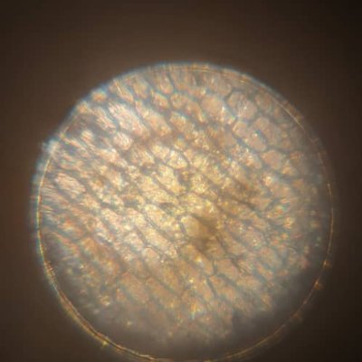 MOHAMAD12198788's profile picture. DO IT ⚙️🛸