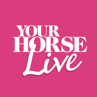 Your Horse Live | Unbeatable shopping ¦ Watch and learn from world class equestrian stars | 10 - 12 November 2023 | https://t.co/Y3L1Xg7j6e