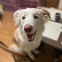 たっきー@8.30 (@takky_masha) 's Twitter Profile