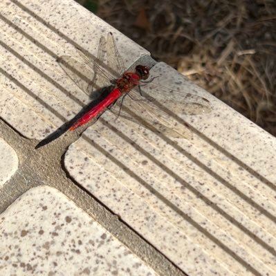 qKTeg5DQj3z9fy's profile picture. 映画が好きな者の備忘録