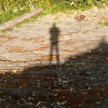 Remar031's profile picture. Patrzę na świat jednym okiem. Raz lewym, raz prawym.