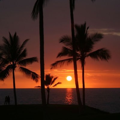 Senarsenjaaa's profile picture. • FH UMY 2013
• Part of PT. Jhonlin Group