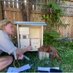 Forbes Saurels (@beeswithforbes) Twitter profile photo Forbes Saurels (@beeswithforbes) Twitter profile photo