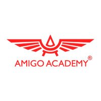 Amigo Academy(@amigo_academy) 's Twitter Profile Photo