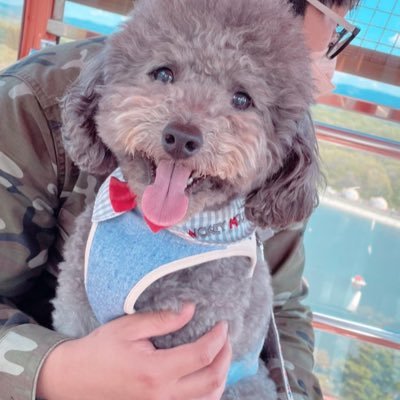 saa_28kii's profile picture. 💍2021.11.06