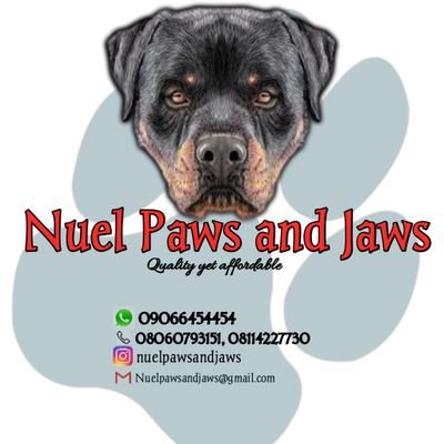 High sense of humor 🤪 | proud Fuoyite |June born | Dog breeder| https://t.co/j54H0RjgdL | Secret punter | I design | dm is always open.  
#thinkaboutit