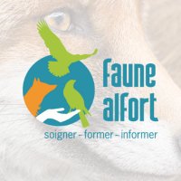 Faune Alfort(@FauneAlfort) 's Twitter Profile Photo