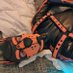 PupSpot (@pupper_spot) Twitter profile photo PupSpot (@pupper_spot) Twitter profile photo