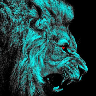 MaciejPeplinsk1's profile picture. 