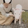 hana25chan's profile picture. ひとりラーメンできる方の女です。