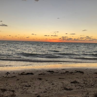 ah__alharthi's profile picture. 