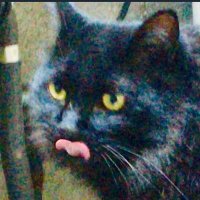 ダダABC (@dada_abc_01) 's Twitter Profile