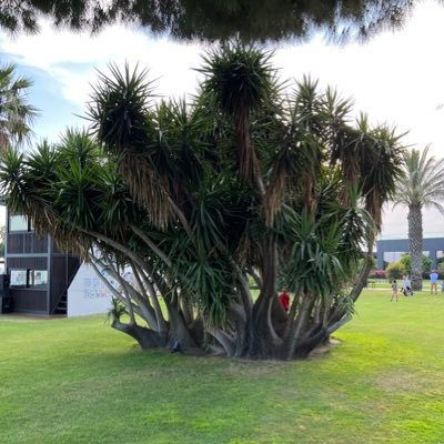 malcolmrmarsh2's profile picture. 