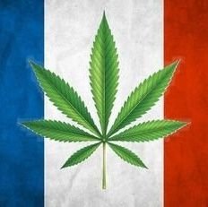 Ici c'est pas là-bas et là-bas c'est pas ici ouvert pour vos envoie et livraison juste en cache mains propres via Snap👻cali_fn420
Télégram👉@lux_bobweed 🌱🍁🍫