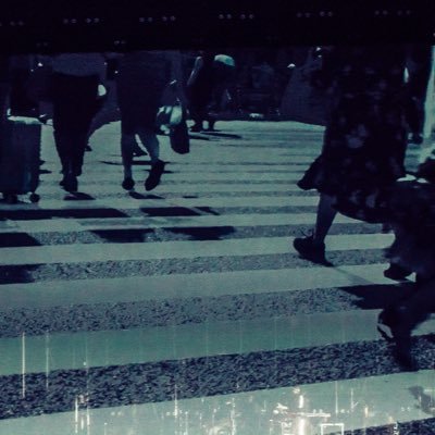 T4KIKOMIGOHAN_'s profile picture. とにかくサカナクション