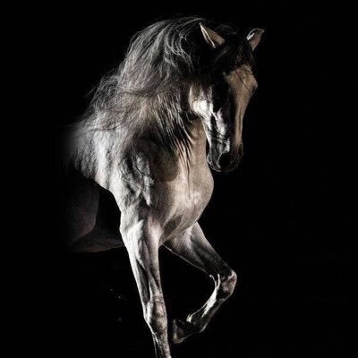 AAzzz77's profile picture. ارى الجمال في كل شئ ،،، حتى الدموع .