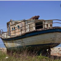 Deniz (@deniz29211884) 's Twitter Profile Photo Deniz (@deniz29211884) 's Twitter Profile Photo