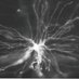 Hamilton-Whitaker Lab (@hamiwhitlab) Twitter profile photo Hamilton-Whitaker Lab (@hamiwhitlab) Twitter profile photo