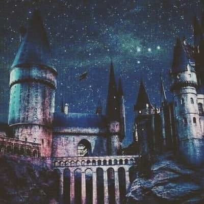 meylupin's profile picture. 