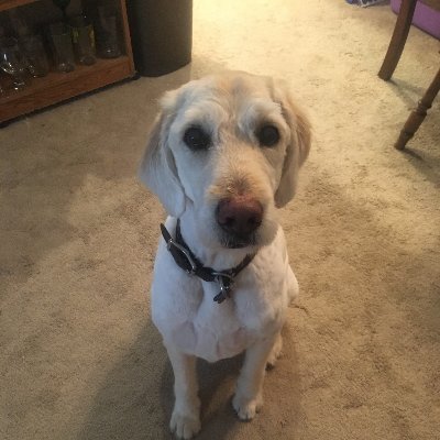 GusMoney12's profile picture. 