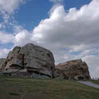 金刚钻与瓷器活🇨🇦 (@calgarytree) 's Twitter Profile