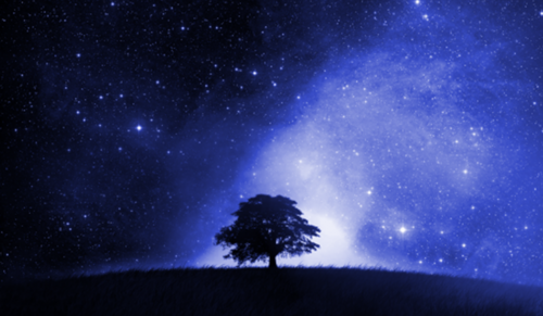 SecretKnowing1's profile picture. Creating my life - one thought at a time.