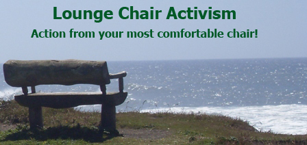 Lounge Chair Activism is a “minimal effort” portal providing ways for everyone to participate in, and affect, contemporary issues right from your favorite chair