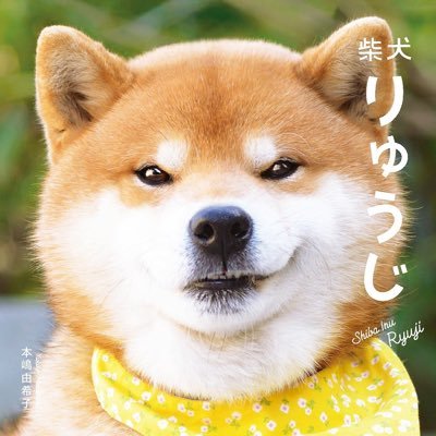 MF666111's profile picture. 投資家